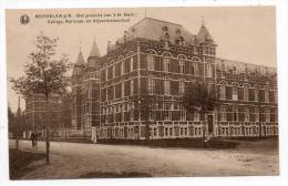 24465  -  Mechelen  An  Maas  College Normaal  En   Nijverheldsschool - Maasmechelen