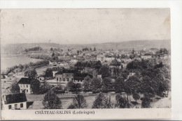 CHATEAU-SALINS, Vue D'Ensemble, 1915 - Chateau Salins