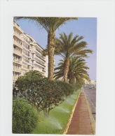 34 - PAULHAN - Publicité IRRIFRANCE Arrosage - Promenade Des Anglais à NICE - Paulhan