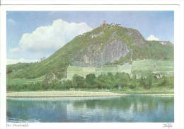 Der DRACHENFELS - Drachenfels