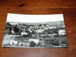 Carte Postale Ancienne : RILLY LA MONTAGNE : Vue Générale - Rilly-la-Montagne