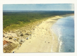 Cp, 85, Longeville-sur-Mer, La Plage Et La Forêt - Sonstige & Ohne Zuordnung