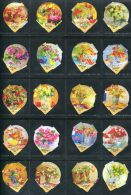 6120 - Tulipes - Serie Complete De 20 Opercules Suisse Elsa - Koffiemelk-bekertjes