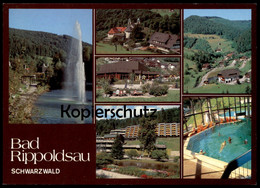 POSTKARTE BAD RIPPOLDSAU PANORAMA SCHWIMMBAD Bath Piscine Schwarzwald Black Forest Foret-noire Ansichtskarte AK Postcard - Bad Rippoldsau - Schapbach