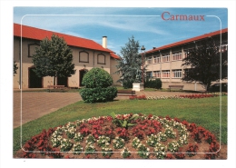 CP, 81, CARMAUX, Vierge - Carmaux