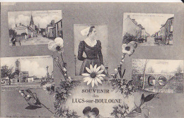 85 /  SOUVENIR DES LUCS SUR BOULOGNE / CIRC - Les Lucs Sur Boulogne