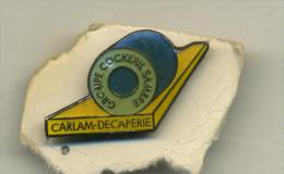 Pin - Carlam - Decaperie - Groupe Cockeril Sambre - Other & Unclassified