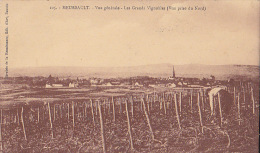 21 / MEURSAULT / VUE GENERALE / LES GRANDS VIGNOBLES  / VUE PRISE DU NORD / DESTINATAIRE TARTARIN APICULTEUR A NUTS I - Meursault