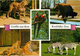 CPSM Krefeld-Zoo   L1474 - Krefeld