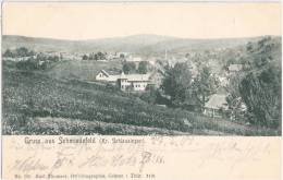 Gruß Aus Schmiedefeld Kreis Schleusingen Panorama Grünlich 27.1.1905 Gelaufen - Schmiedefeld