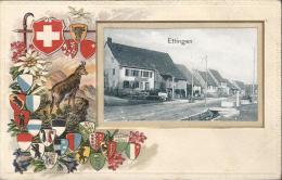 8700 - Ettingen Armoiries Suisses Carte En Relief - BE Bern