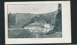 CIREY SUR VEZOUZE - Scierie Et Forêt De POT DE VIN - Cirey Sur Vezouze