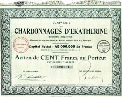 Charbonnages D'Ekatherine  - 1910 - Russie