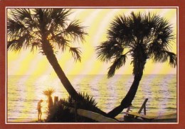 Palmetto Palms Line The Golden Grand Stand Beaches Of North Myrtle Beach South Carolina - Myrtle Beach