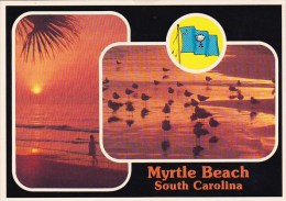 Picturesque Myrtle Beach Carolina - Myrtle Beach