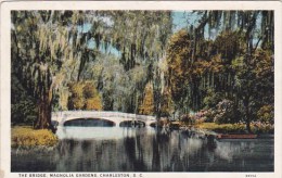 The Bridge Magnolia Gardens Charleston South Carolina - Charleston