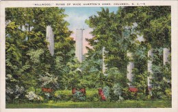 Millwood Ruins Of Wade Hamptons Home Columbia South Carolina 1942 - Columbia