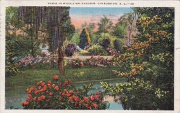 Scene In Middleton Gardens Charleston South Carolina 1937 - Charleston