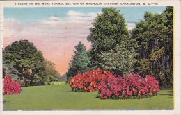 A Scene In The More Formal Section Of Magnola Gardens Charleston South Carolina 1939 - Charleston