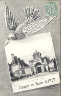 Cp 28 ANET J'apporte Un Baiser , Souvenir , Habitation OISEAUX - Anet