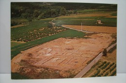 LA ROQUEBRUSSANNE- Vestiges Gallo - Romains Du Loov - La Roquebrussanne