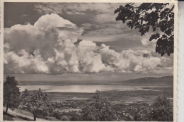 CH 9428 WALZENHAUSEN, Blick Auf Den Bodensee, 1958 - Walzenhausen