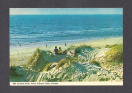 PRINCE EDWARD ISLAND - ILE DU PRINCE EDWARD - THE NATIONAL PARK - SAND DUNES - Andere & Zonder Classificatie