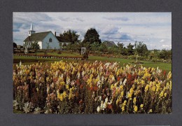 PRINCE EDWARD ISLAND - ILE DU PRINCE EDWARD - MALPEQUE - MALPEQUE GARDEN NEAR CABOT PARK - GEO. & DOREEN MACKAY PROP. - Sonstige & Ohne Zuordnung