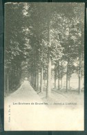 N°48 -    LINKEBEEK = "Les Environs De Bruxelles   Avenue à Linkebeek ( Inédit Sur Delcampe )    DAH45 - Linkebeek