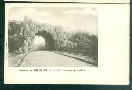 Souvenir De BRUXELLES - Le Pont Rustique à Laeken  DAH47 - Bossen, Parken, Tuinen