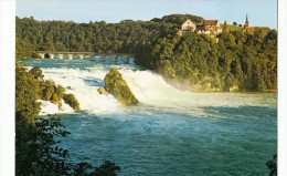 Rheinfall Bei Schaffhausen - Sommer - Autres & Non Classés