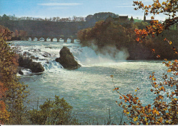 Rheinfall Bei Schaffhausen - Herbst - Autres & Non Classés