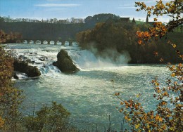 Rheinfall Bei Schaffhausen - Herbst - Autres & Non Classés