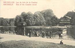 Réf : JM-13-406  : Bruxelles Lac Du Bois De La Cambre - Bossen, Parken, Tuinen