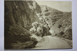 Russian Asia. Ashgabat. Road To Firyuza. OLD PC. 1920s - Rare!!! 5000 - Turkmenistán