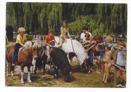 CPM - CLOYES-SUR-LE-LOIR (28) Parc De Loisirs - Les Poneys (très Animée) - Cloyes-sur-le-Loir