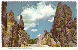 USA South Dakota, Black Hills ... XF137 - Sonstige & Ohne Zuordnung