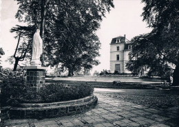 Dilbeek  Résidence  Maria Assumpta  Maison Des Repos     Une Vue Du Chateau - Dilbeek