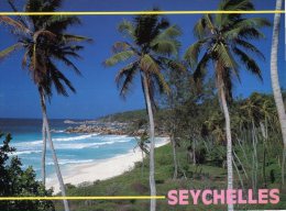 (861) Seychelles Islands - Grande Anse - Seychellen