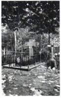 Nr. 285,  AK  Insel Ösel,  Estland, Grab Des Kgl. Preuß. Leutnant Walter Fler, Friedhof Von Peude - Monuments Aux Morts