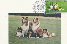 MONACO - Exposition Canine Internationale 1981 -Timbre Et Tampon Jour D'émission - Cartas Máxima