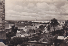Afrique Du Nord,MAROC,RABAT,vu Du Jardin Des OUDAIAS,avant L´invasion Humaine,et L´arrivée Des Immeubles,rare - Rabat