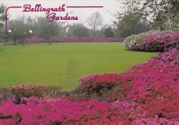 The Great Lawn Bellingrath Gardens Theodore Alabama 1998 - Autres & Non Classés