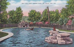 Sea Lion Pool Forest Park Saint Louis Missouri - St Louis – Missouri