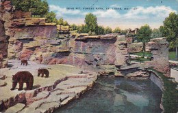 Bear Pit Forest Park Saint Louis Missouri 1940 - St Louis – Missouri