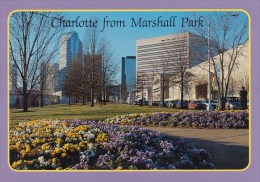 Charlotte From Marshall Park Charlotte North Carolina - Charlotte