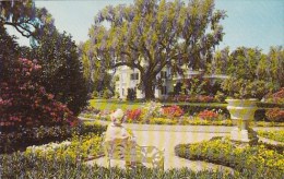 Orton Plantation Wilmington North Carolina 1966 - Wilmington