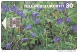 Finland, D077, Peach-leaved Bellflowers, Flowers, 2 Scans. - Finland