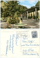 AK Steiermark 8344 Bad Gleichenberg Heilbad Blumen Park Österreich Kurort Flower AUSTRIA Ansichtskarte Picture Postcard - Bad Gleichenberg