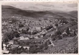 Cp , 68 , GUEBWILLER , Vallée Du Florival - Guebwiller